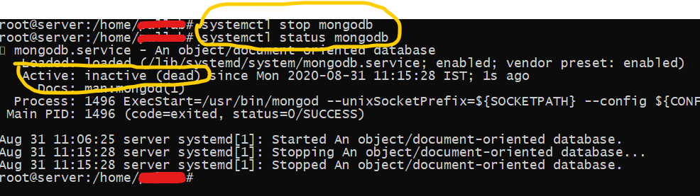 mongodb start and stop 